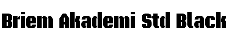 Briem Akademi Std Black font preview