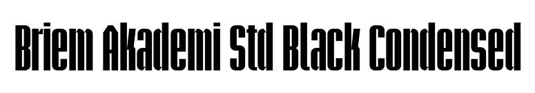 Briem Akademi Std Black Condensed font preview