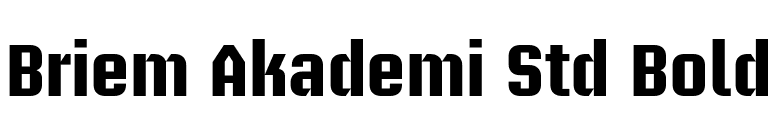Briem Akademi Std Bold font preview