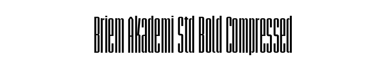 Briem Akademi Std Bold Compressed font preview