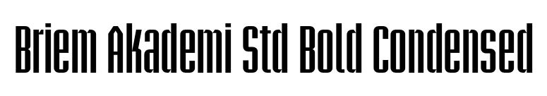 Briem Akademi Std Bold Condensed font preview