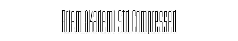 Briem Akademi Std Compressed font preview