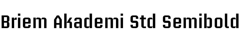 Briem Akademi Std Semibold font preview