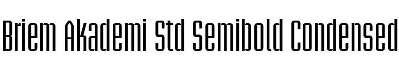 Briem Akademi Std Semibold Condensed font preview