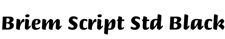 Briem Script Std Black font preview