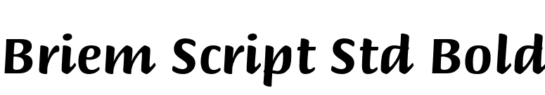 Briem Script Std Bold font preview