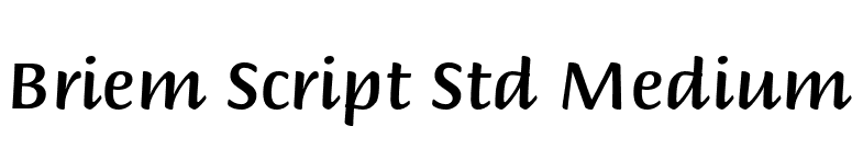 Briem Script Std Medium font preview