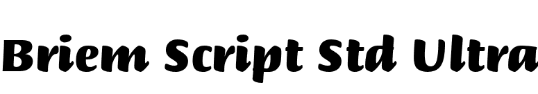Briem Script Std Ultra font preview