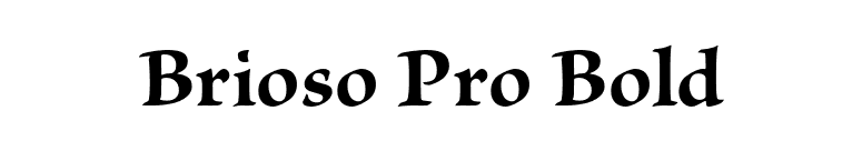 Brioso Pro Bold font preview