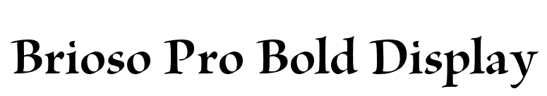 Brioso Pro Bold Display font preview