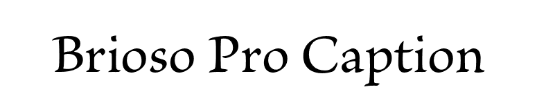 Brioso Pro Caption font preview