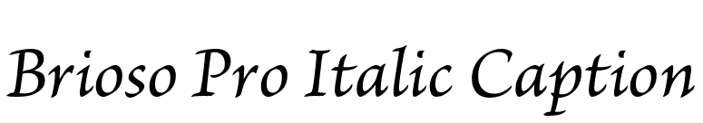 Brioso Pro Italic Caption font preview