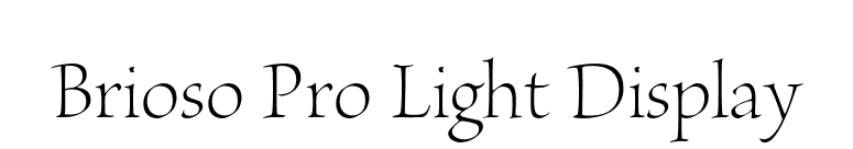 Brioso Pro Light Display font preview