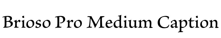 Brioso Pro Medium Caption font preview
