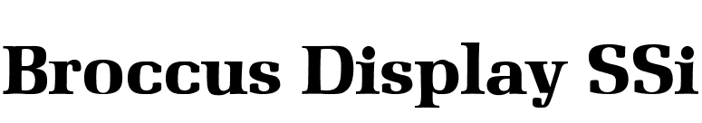Broccus Display SSi font preview