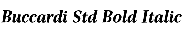 Buccardi Std Bold Italic font preview