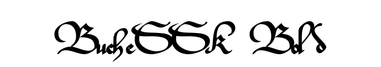 BucheSSK Bold font preview