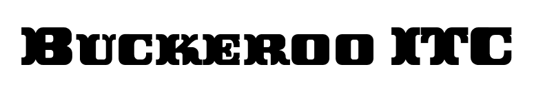 Buckeroo ITC font preview