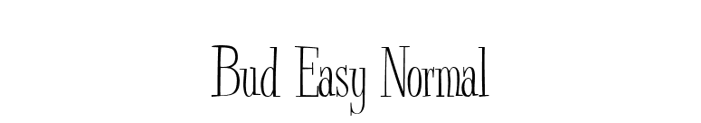 Bud Easy Normal font preview