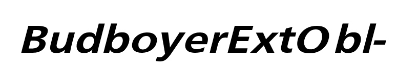 BudboyerExtObl- font preview