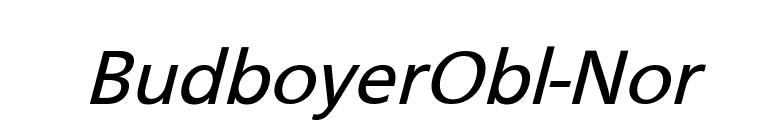 BudboyerObl-Nor font preview