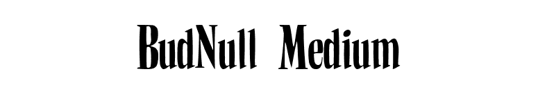 BudNull Medium font preview