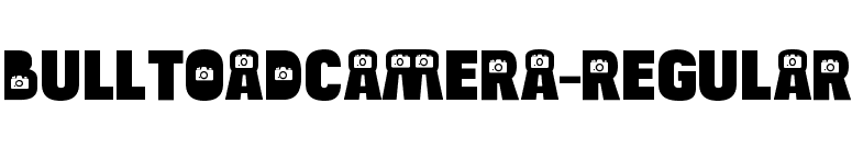 BulltoadCamera-Regular font preview