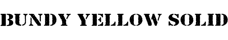 Bundy Yellow Solid font preview