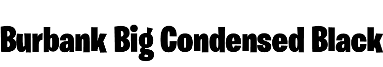 Burbank Big Condensed Black font preview