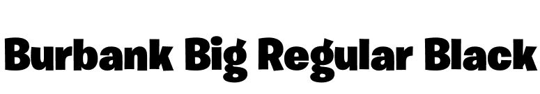 Burbank Big Regular Black font preview