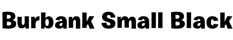 Burbank Small Black font preview