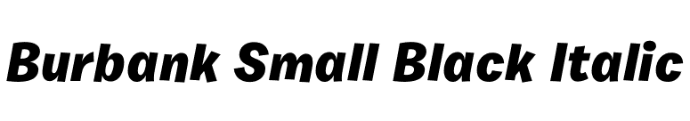 Burbank Small Black Italic font preview
