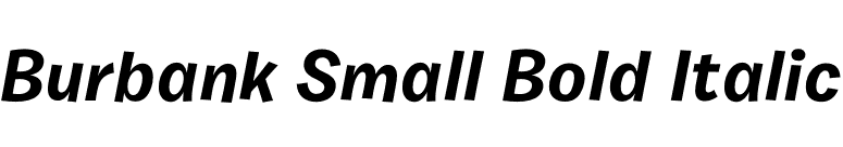 Burbank Small Bold Italic font preview