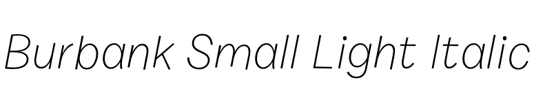 Burbank Small Light Italic font preview