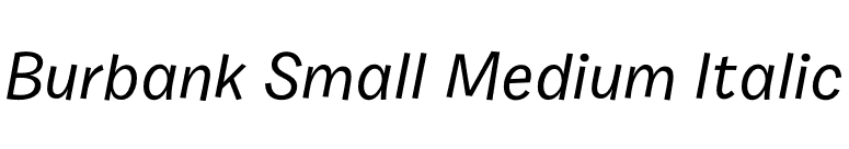 Burbank Small Medium Italic font preview