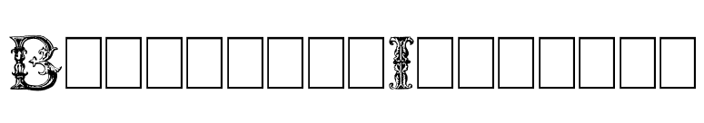Burgoyne_Initials font preview