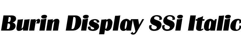Burin Display SSi Italic font preview