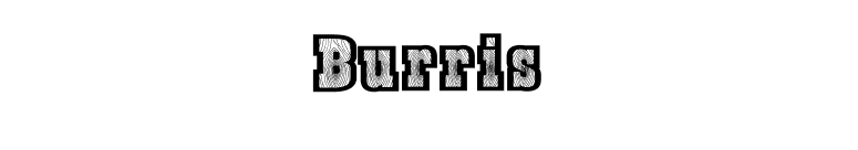 Burris font preview