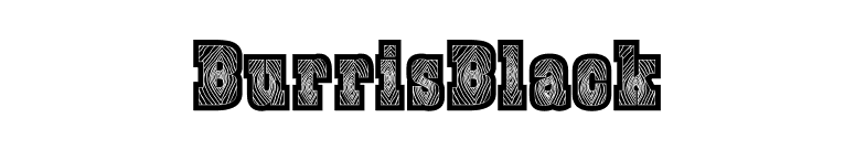 BurrisBlack font preview