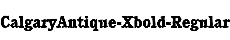 CalgaryAntique-Xbold-Regular font preview