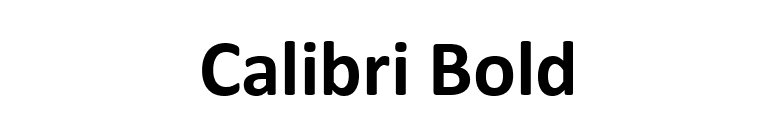 Calibri Bold font preview
