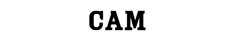 Cam font preview