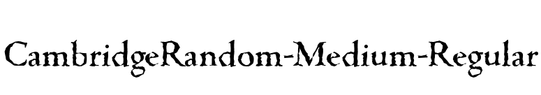 CambridgeRandom-Medium-Regular font preview