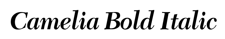 Camelia Bold Italic font preview