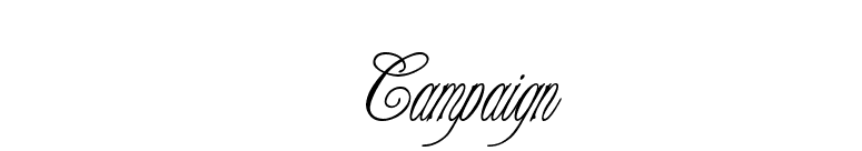 Campaign font preview