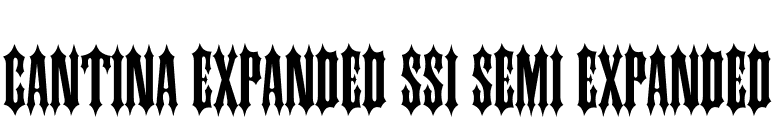 Cantina Expanded SSi Semi Expanded font preview