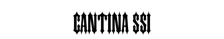 Cantina SSi font preview