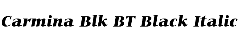 Carmina Blk BT Black Italic font preview