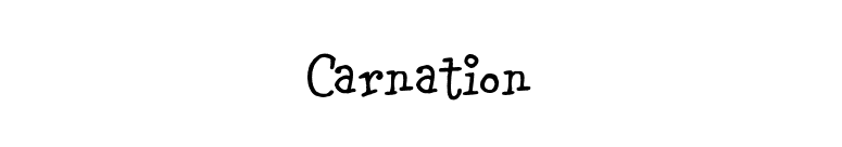 Carnation font preview