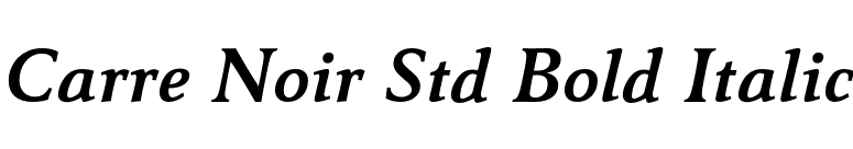Carre Noir Std Bold Italic font preview